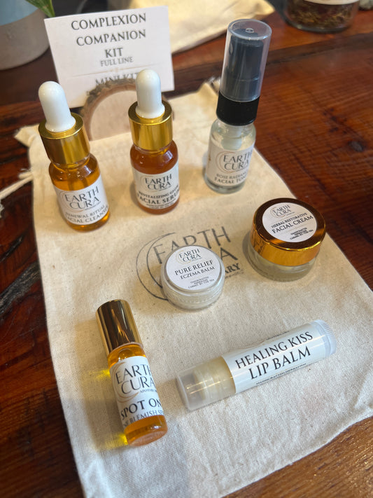 COMPLEXION COMPANION - Mini Kit - Travel Kit - Full Skincare Line