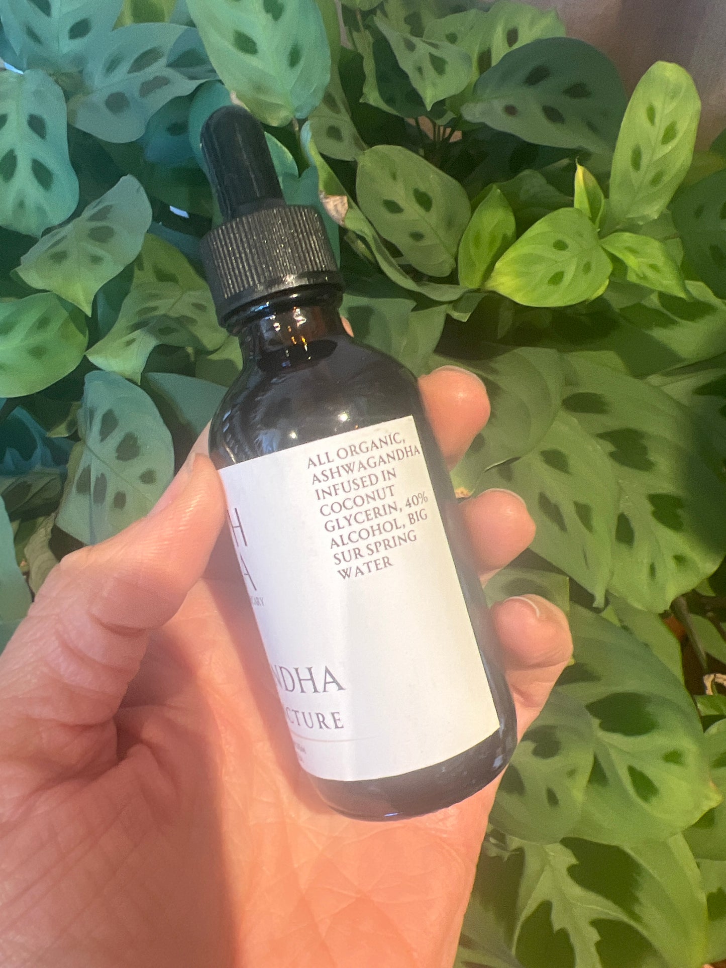 ASHWAGANDHA - Wellness Tincture