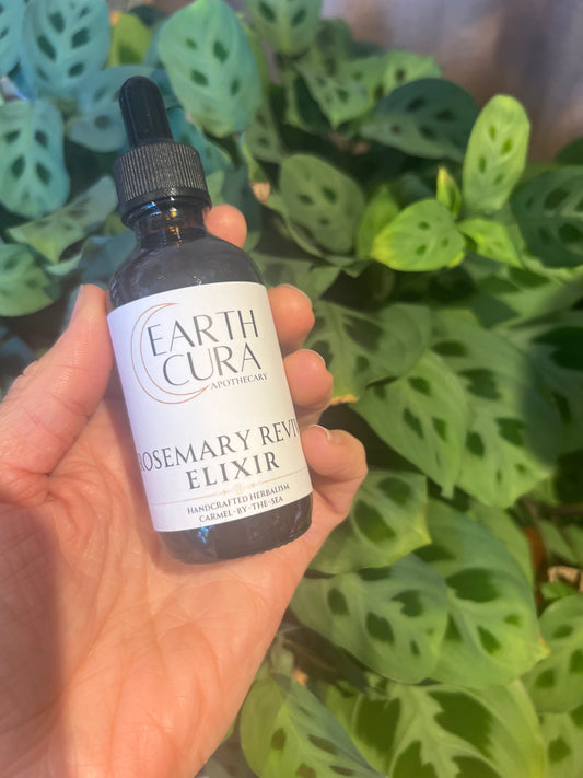 ROSEMARY REVIVE -  Elixir Tincture