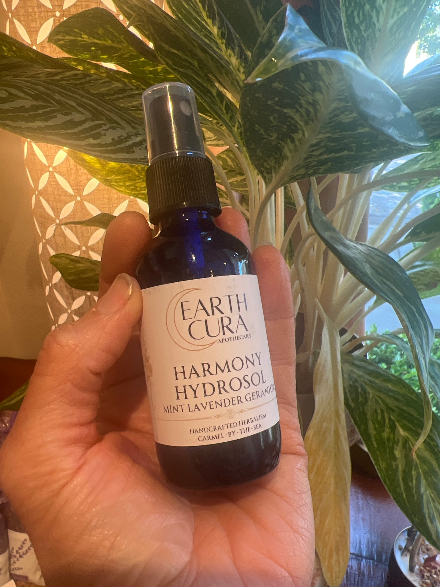 Mint Lavender Geranium - HARMONY HYDROSOL